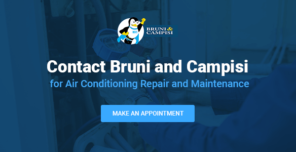 Contact-Bruni-and-Campisi