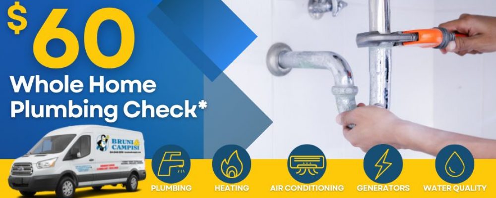 Whole Home Plumbing Check Header
