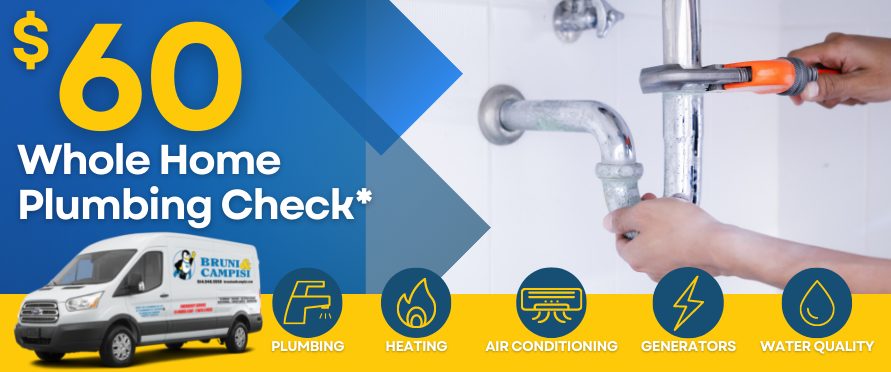 Whole Home Plumbing Check Header