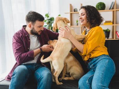 family cuddling on a couch with their dogs