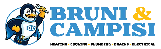bruni-primary-logo